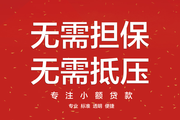 成都21信用贷款哪家好-成都21空放借钱-成都21个人贷款
