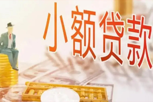 成都21私人身份证借私借-成都21个人上门小额贷款-成都21短借公证